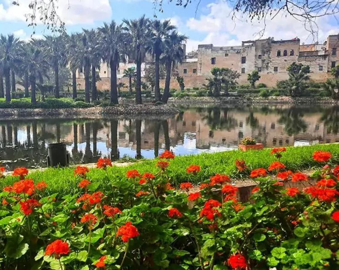 Dar Mima Hotel Fez Bagian luar foto